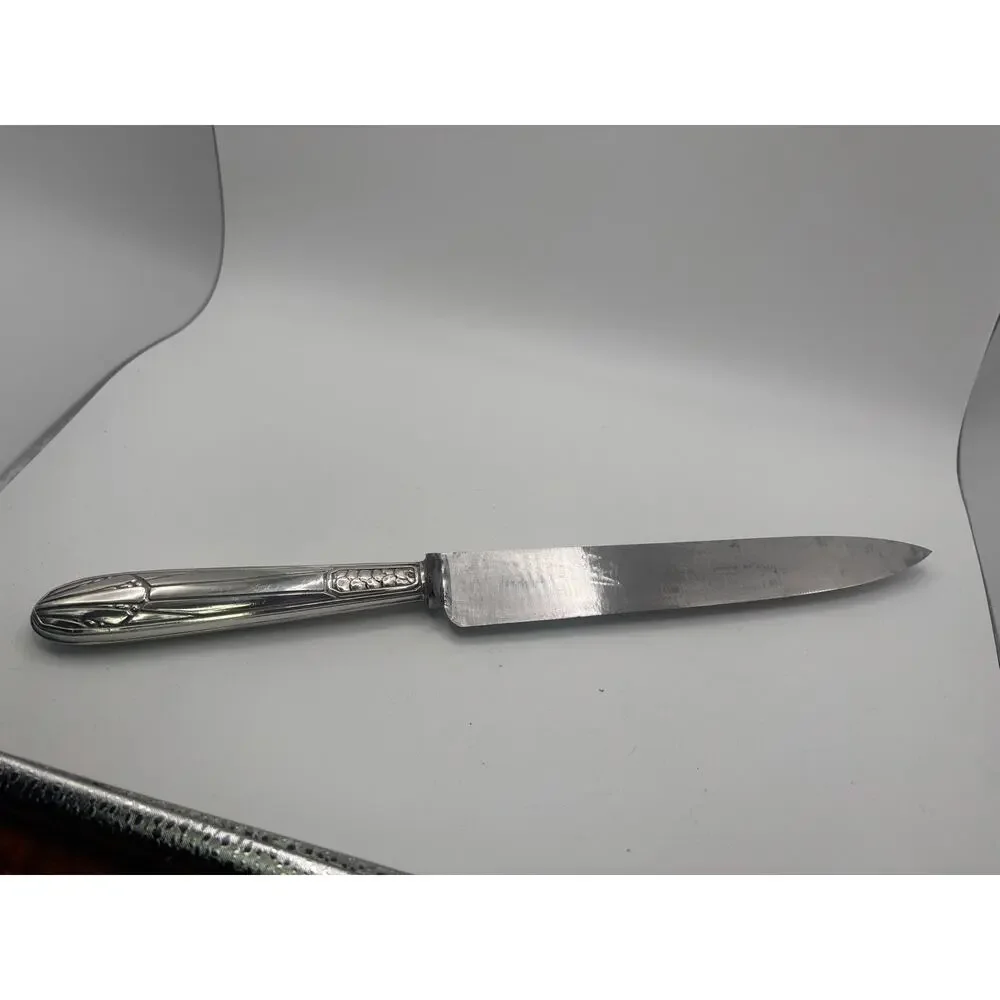 ANTIQUE FRENCH SILVER ROAST CARVING SET Charles Murat CATTAILS BOX .950